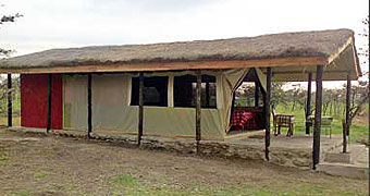 Nyumbu Camp