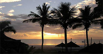Pinewood Resort,