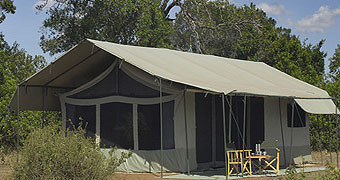 Porini Lion Camp