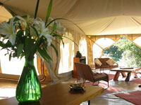 Rekero camp in maasai mara, Kenya
