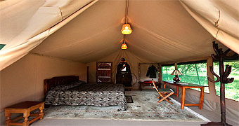 Rhino Watch Safari Lodge 