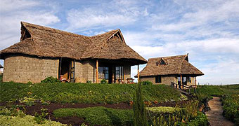 Rhino Watch Safari Lodge