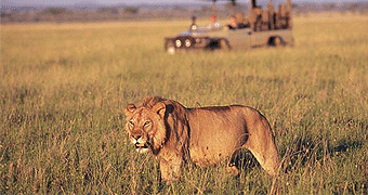 Rift Valley Adventures Ol Pejeta Camp