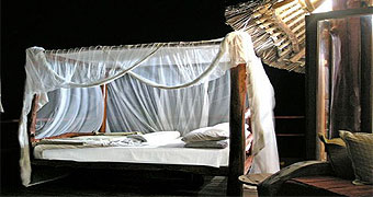 Sable Valley Treehouses 