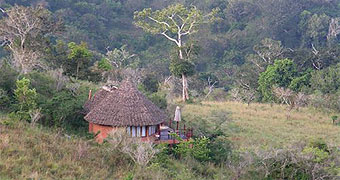 Sable Valley Treehouses