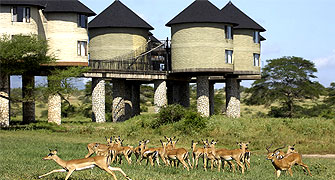 Sarova Salt Lick Game Lodge