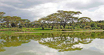 Sangare Under Canvas Tented Camp