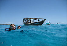 Scuba Diving in Zanzibar