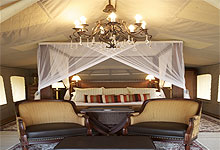 Selous Wildlife Lodge