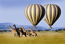 Serengeti Balloon