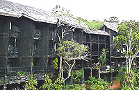 Shimba Rainforest Lodge