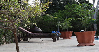 Shimba Hills Holiday Rental House