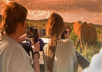 Student Safari in Kenya