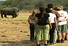 Students Walking Safaris