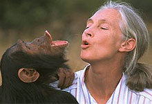 Jane Goodall