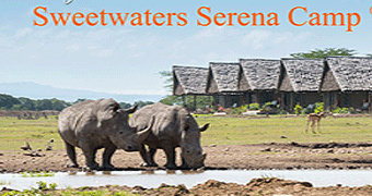 Sweetwaters Flying Safari 