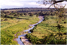 Tarangire River 