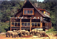 ark forest tree lodge,fairmont hotels and lodges