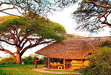 Tortilis Accommodation Amboseli Kenya