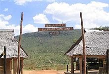 Mwaluganje Elephant Sanctuary, Mombasa, Kenya 