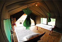 Tsavo Mashariki Camp Inside Tent, Tsavo Kenya 