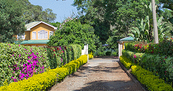 Twiga Hill Lodge Karen Nairobi