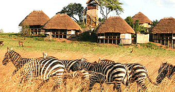 Safaris in Uganda 
