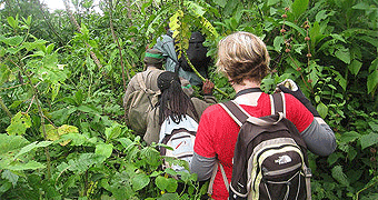 Volcanoes National Park 