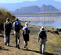 Lake Elementaita walking Safari