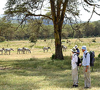 Sangare Game Reserve