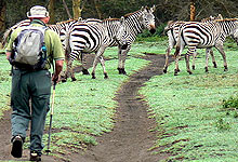 Walking Safaris in Kenya 