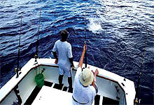 Diving & Fishing in Zanzibar 