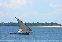 Zanzibar Dolphin Adventure Dhow