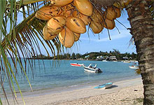 Zanzibar Spice Island Tours