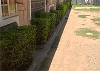 4DSem Acacia Accommodation Baringo Hotels 4DSem Acacia Accommodation Baringo Hotels