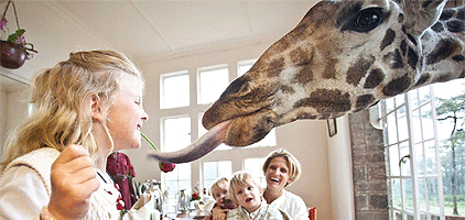 Nairobi City Tours Nairobi City Tours