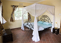 Coffee Farm Guest House Arusha Hotels 