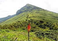 Elephant Hill Aberdares 1 day hiking/ trekking Tour Nairobi City Tours Elephant Hill Aberdares 1 day hiking/ trekking Tour Nairobi City Tours