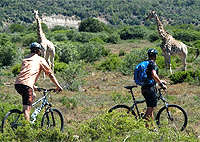 Hells Gate National Park Day Tour from Nairobi Nairobi City Tours Hells Gate National Park Day Tour from Nairobi Nairobi City Tours