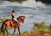 Kampala Day Tours Horseback Riding Day Trip Tours from Kampala Kampala Day Tours Horseback Riding Day Trip Tours from Kampala