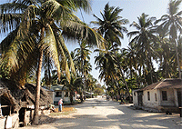 Zanzibar Day Trips City Tours Jambiani Cultural Village Tour of Zanzibar Zanzibar Day Trips City Tours Jambiani Cultural Village Tour of Zanzibar