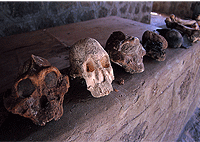 Nairobi Day Tours 1 Day Prehistoric Sites Tour Kariandusi Hyrax Hill - Kenya