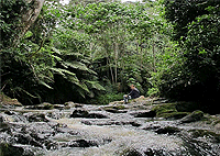 Nairobi City Tours Kereita Forest Caves Waterfalls Nairobi Day Hiking Tour Nairobi City Tours Kereita Forest Caves Waterfalls Nairobi Day Hiking Tour