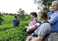 Kiambethu Tea Farm Limuru Nairobi Day Tour Nairobi City Tours Kiambethu Tea Farm Limuru Nairobi Day Tour Nairobi City Tours