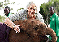 Nairobi City Tours Nairobi National Park, Elephant Orphanage Giraffe Centre Tour