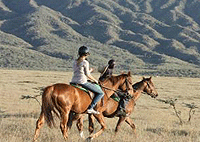 Nairobi City Tours Lake Naivasha Horse Riding Day Trips Nairobi City Tours Lake Naivasha Horse Riding Day Trips