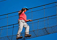 Nairobi City Tours Ngare Ndare Forest 1 Day Hike Nairobi City Tours Ngare Ndare Forest 1 Day Hike