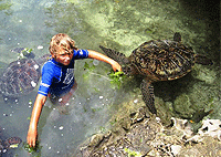 Zanzibar Day Trips City Tours Nungwi Village Cultural Tour Zanzibar Day Trips City Tours Nungwi Village Cultural Tour