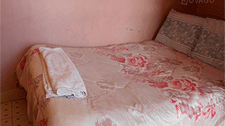 Safari Cafe Hotel Meru Hotels Safari Cafe Hotel Meru Hotels