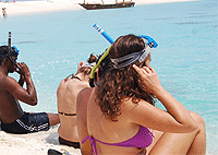 Zanzibar Day Trips City Tours Sandbank Picnic Prison Island Day Tour Zanzibar Day Trips City Tours Sandbank Picnic Prison Island Day Tour